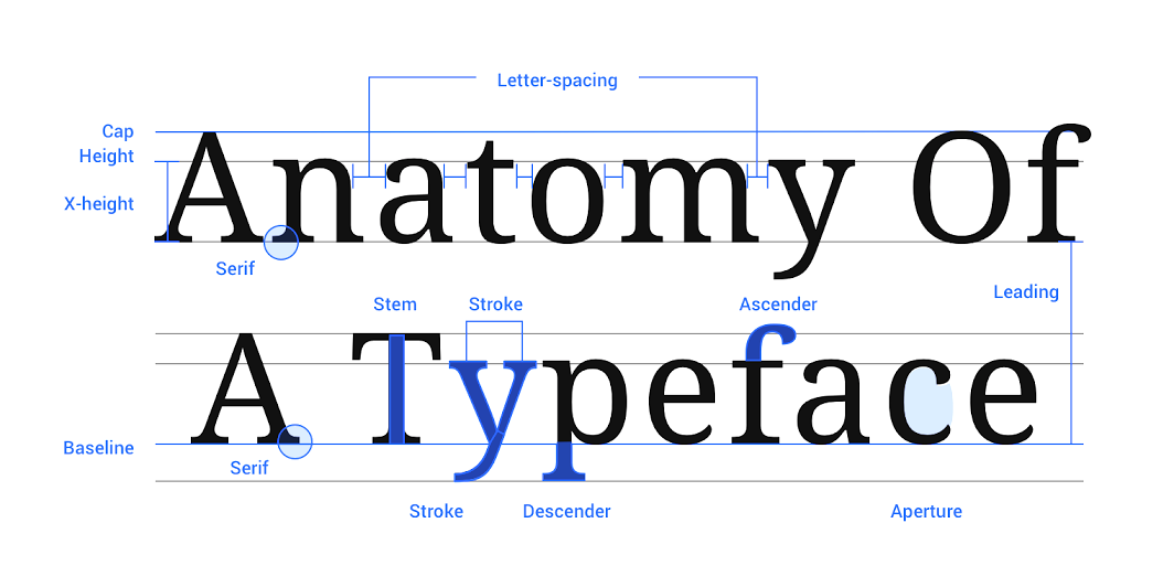 More typeface anatomy!
